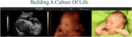 Knights Of Columbus | Building A Culture Of Life