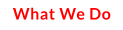 What We Do
